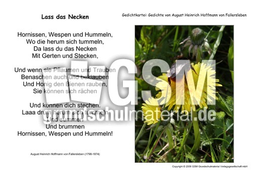 Lass-das-Necken-Fallersleben.pdf